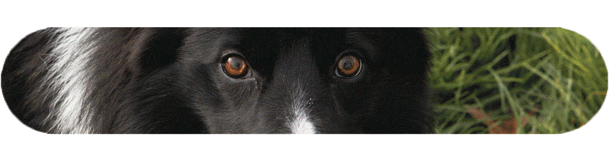 aretè gif