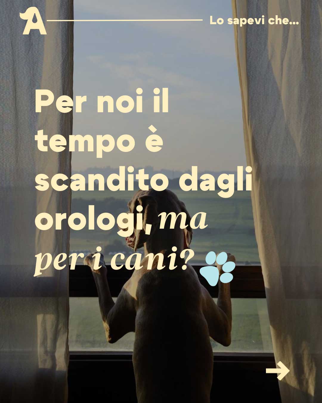 Aretè
