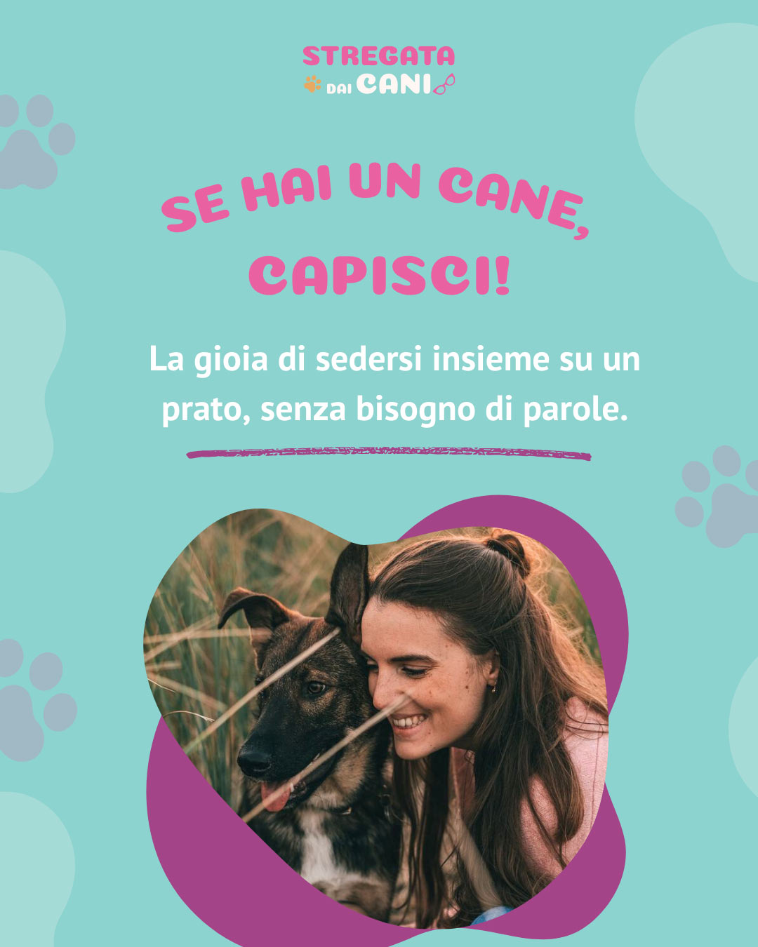 Stregata dai Cani