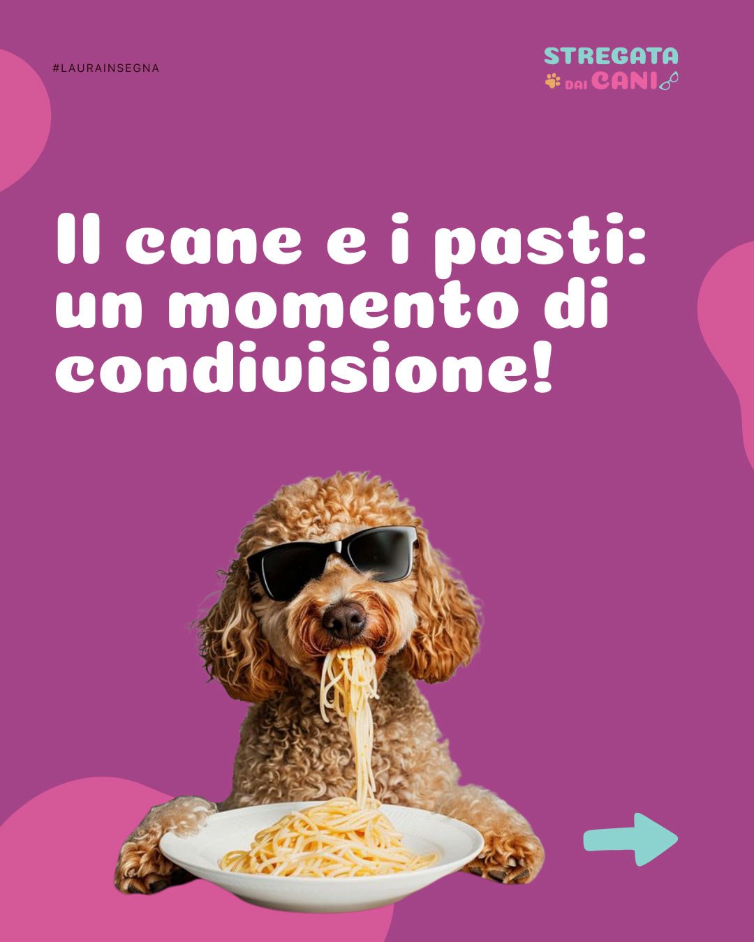 Stregata dai Cani