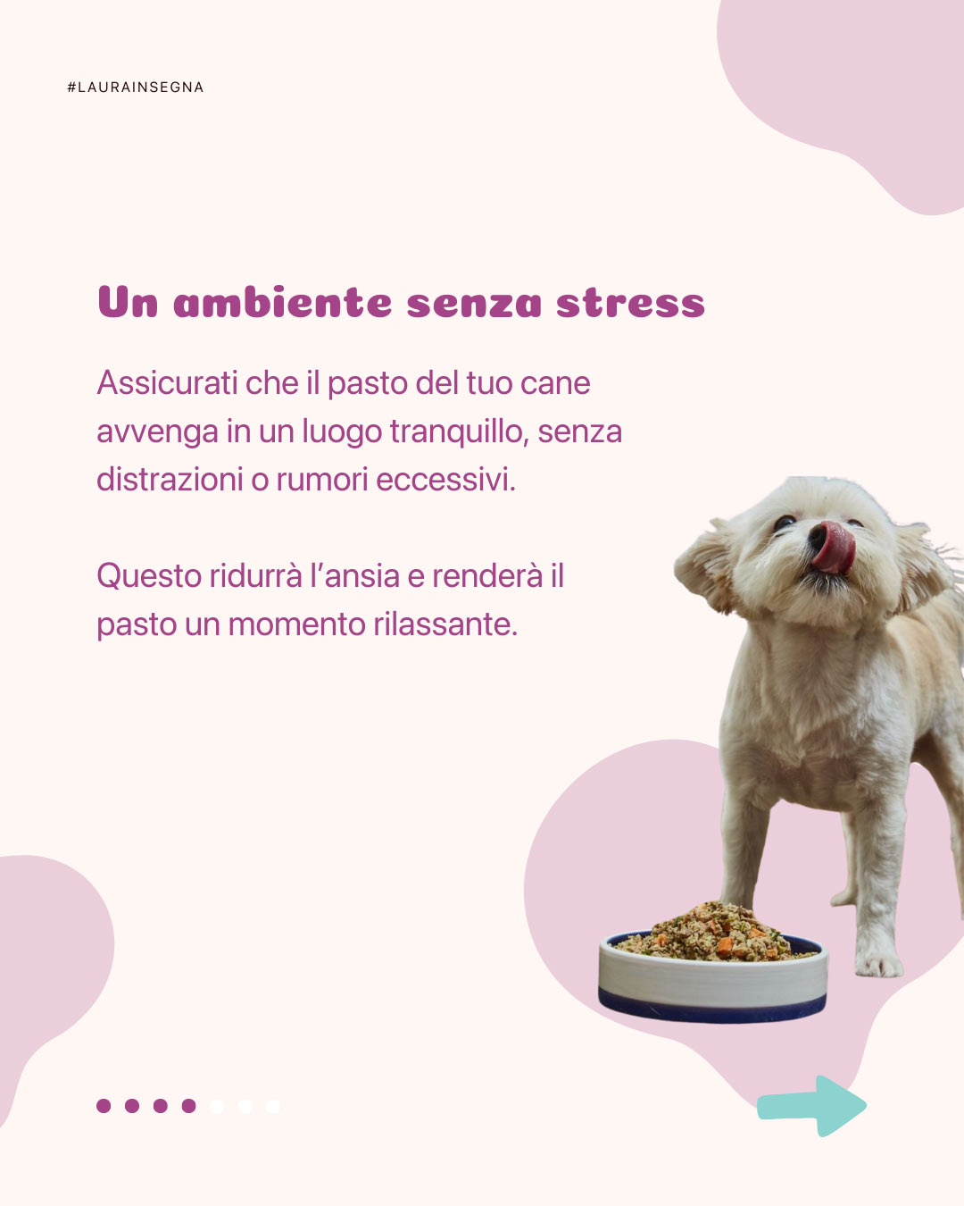 Stregata dai Cani